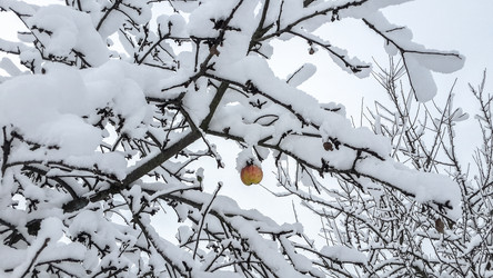 Similar image 21824723