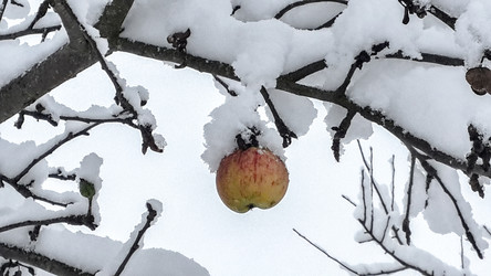 Similar image 21824725