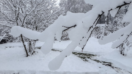 Similar image 21824727