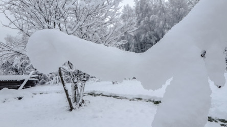 Similar image 21824729