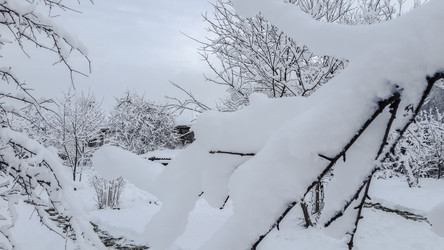 Similar image 21824731