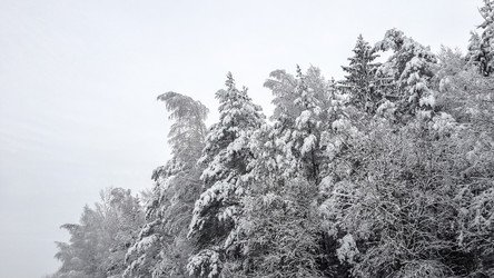 Similar image 21824732