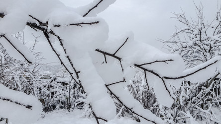 Similar image 21824733