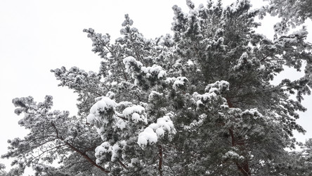 Similar image 21824734