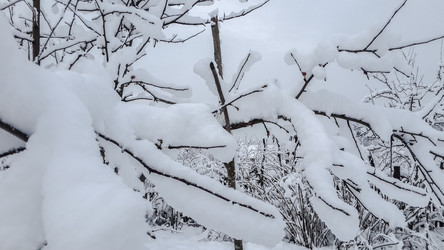 Similar image 21824735