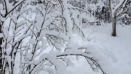 Similar image 21824736