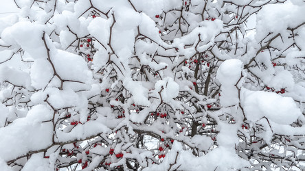 Similar image 21824737