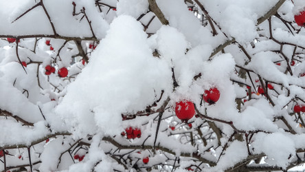 Similar image 21824739