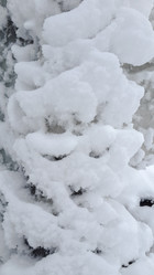 Similar image 21824740