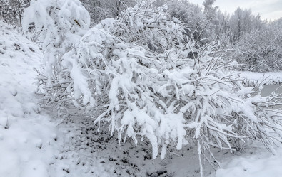 Similar image 21824743