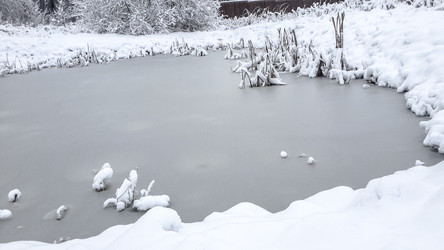 Similar image 21824745