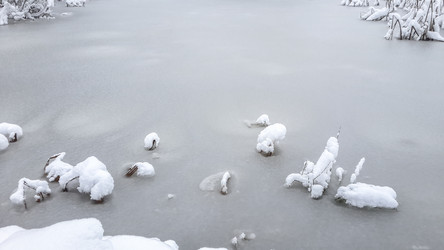 Similar image 21824748