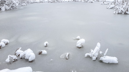 Similar image 21824749