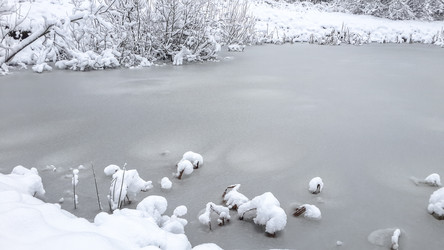 Similar image 21824750