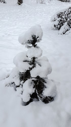 Similar image 21824754