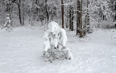 Similar image 21824756