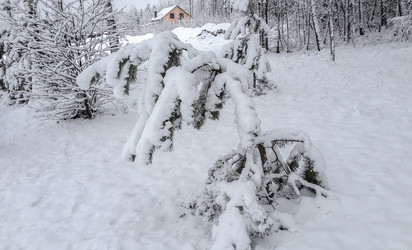 Similar image 21824758