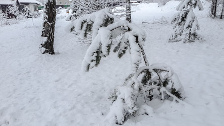 Similar image 21824759