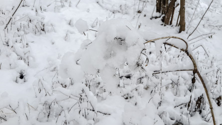 Similar image 21824761