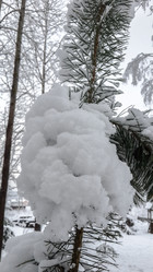 Similar image 21824762