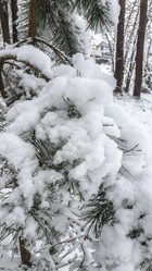 Similar image 21824763