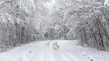 Similar image 21824765