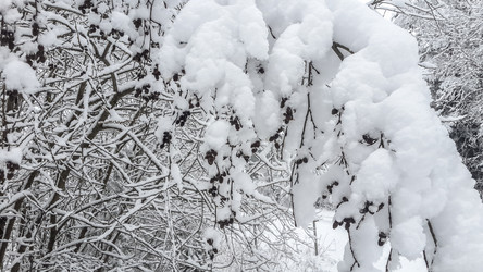 Similar image 21824771