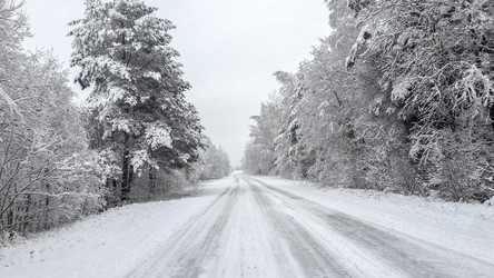 Similar image 21824774