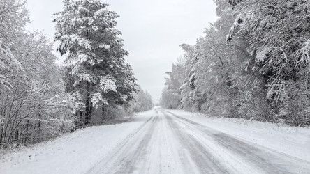 Similar image 21824775