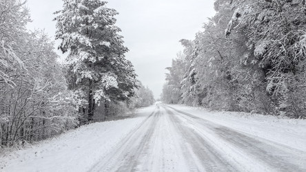 Similar image 21824776