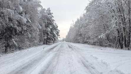 Similar image 21824778