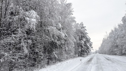 Similar image 21824779