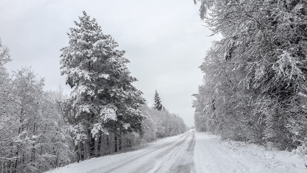 Similar image 21824781