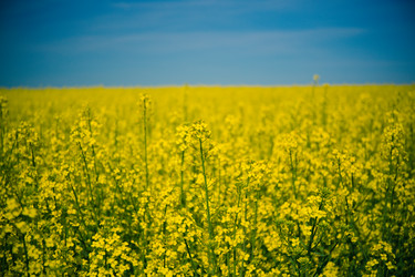 Similar image 21817403