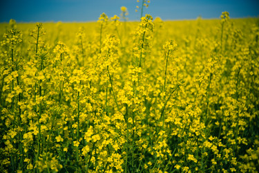 Similar image 21817404