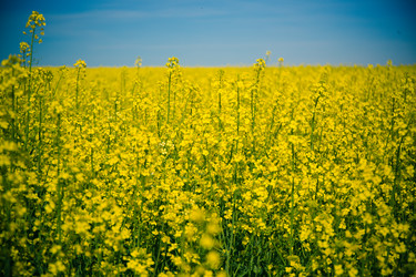 Similar image 21817405