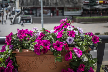 Similar image 21817408