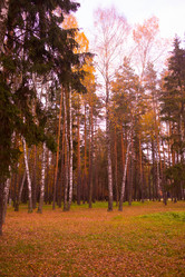 Similar image 21817409