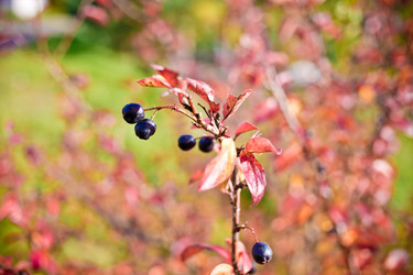 Similar image 21817241