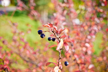 Similar image 21817242