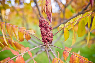 Similar image 21817243