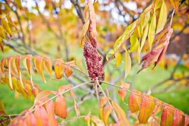 Similar image 21817244