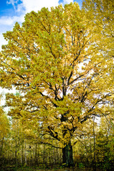 Similar image 21817245