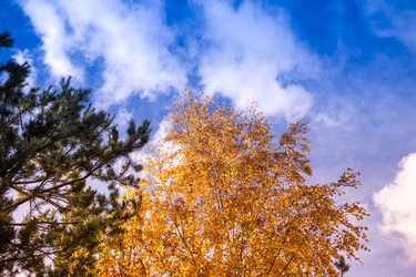 Similar image 21817248