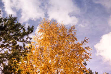 Similar image 21817249