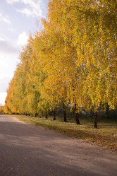 Similar image 21817250