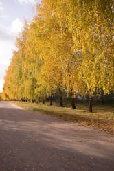 Similar image 21817251