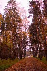 Similar image 21817410