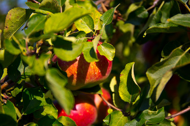 Similar image 21817412