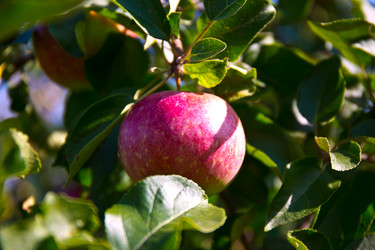 Similar image 21817414